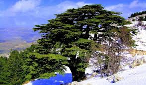 Lebanon Natural Wonders